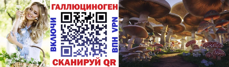 купить закладку  Ряжск  Псилоцибиновые грибы мухоморы 